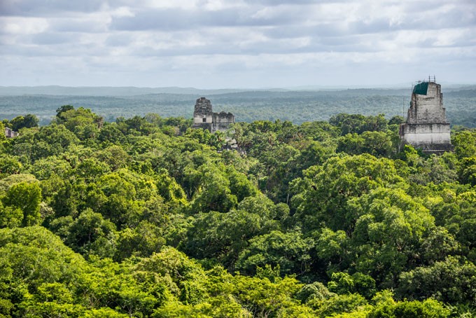 Die Maya Ruinen Tikal mitten im Regenwald