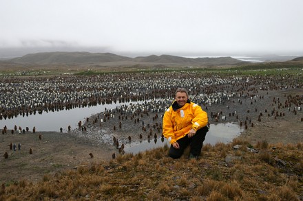 Markus Hofer vor einer Königspinguin-Kolonie auf Südgeorgien