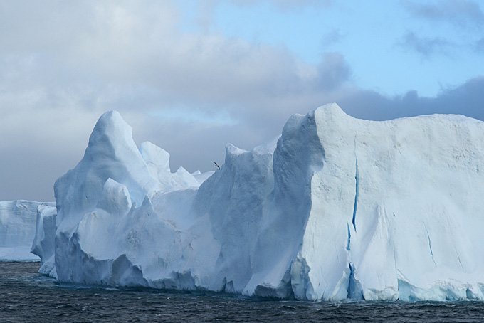 Eisberg bei Süd Sandwich Inseln