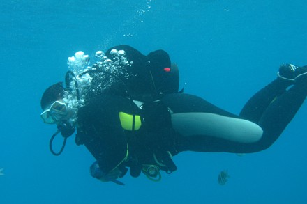 Doris Durrer en train de plonger à Bonaire