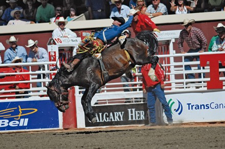 Rodeo Show an der Calgary Stampede