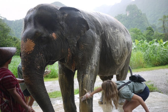 Elefanten-Wasch-Tour