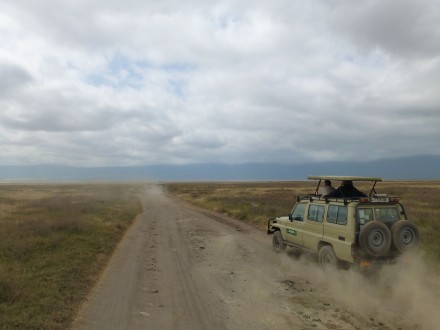 Fahrt durch die Serengeti