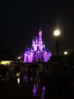 Cinderella`s Märchenschloss im Magic Kingdom
