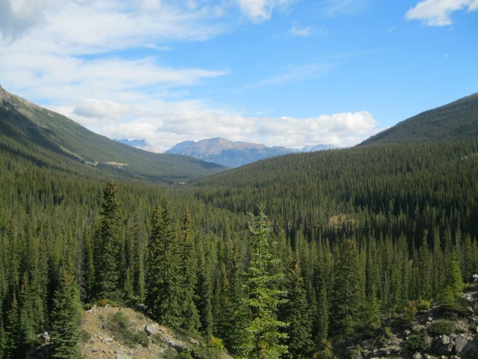 Une vue sur le parc national de Banff et Jasper, région de Lake Moraine