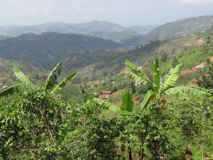 Ruanda, land der tausend Hügel