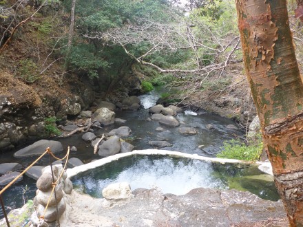 Hotspot Thermalwasser- Becken bei Rincón de la Vieja Nationalpark