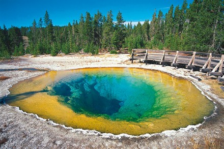 Morning Glory Pool im Yellowstone Nationalpark