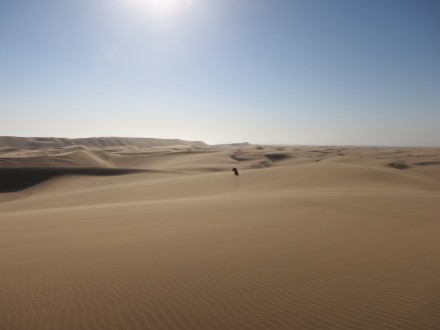 Wunderschöne Wüstenlandschaft in Namibia