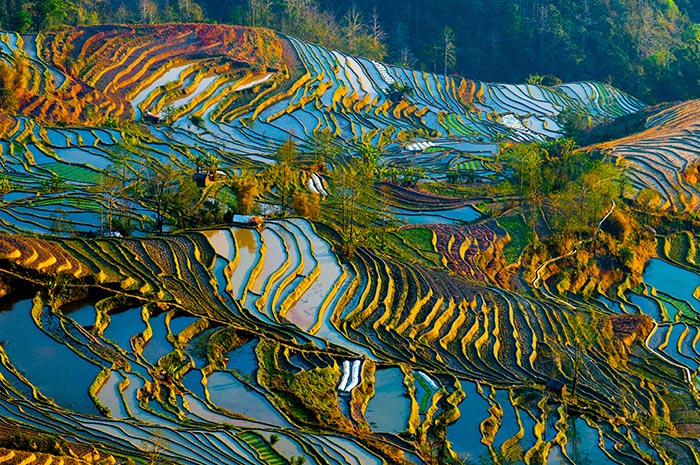 Die Reisterrassen von Yunnan
