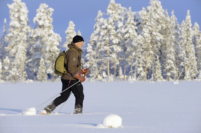 Langlaufen im winterlichen Lappland