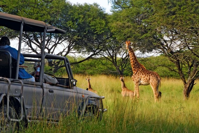 Auf Abenteuer Safari mit dem Karkloof Safari und Spa Hotel