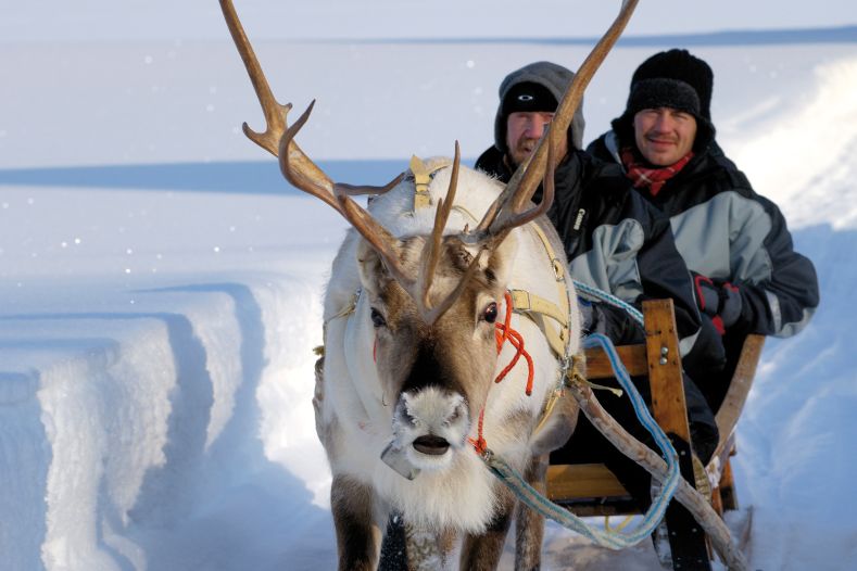 7 Gründe für Winterferien in Lappland Teil 2