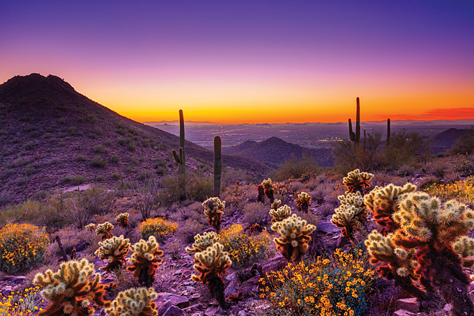 13 Tipps für Tucson & Scottsdale