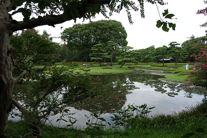 Ein wunderschöner Japanischer Garten