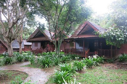 Mutiara Resort Taman Negara
