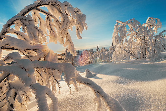 10 conseils pour votre voyage en Laponie