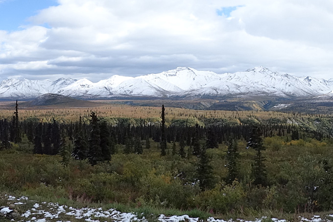 Alaska – wild, weit und wunderschön!