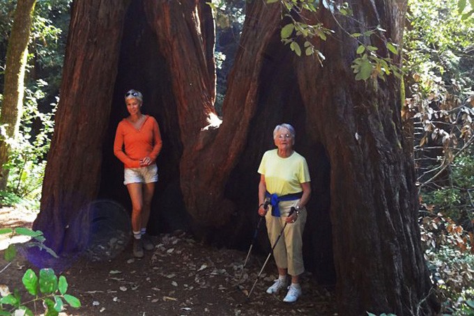     Meine Mutter und Frau vor den riesigen Mammutbäumen in Marin County