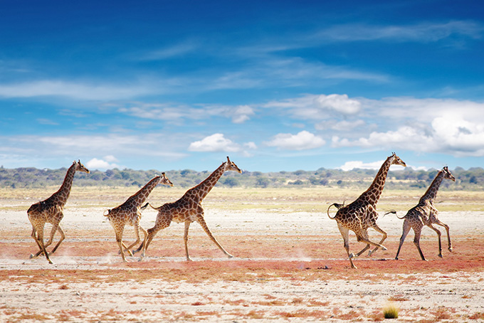 Top Highlights in Namibia