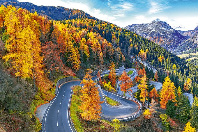 Herbstfarben auf dem Malojapass im Oberengadin