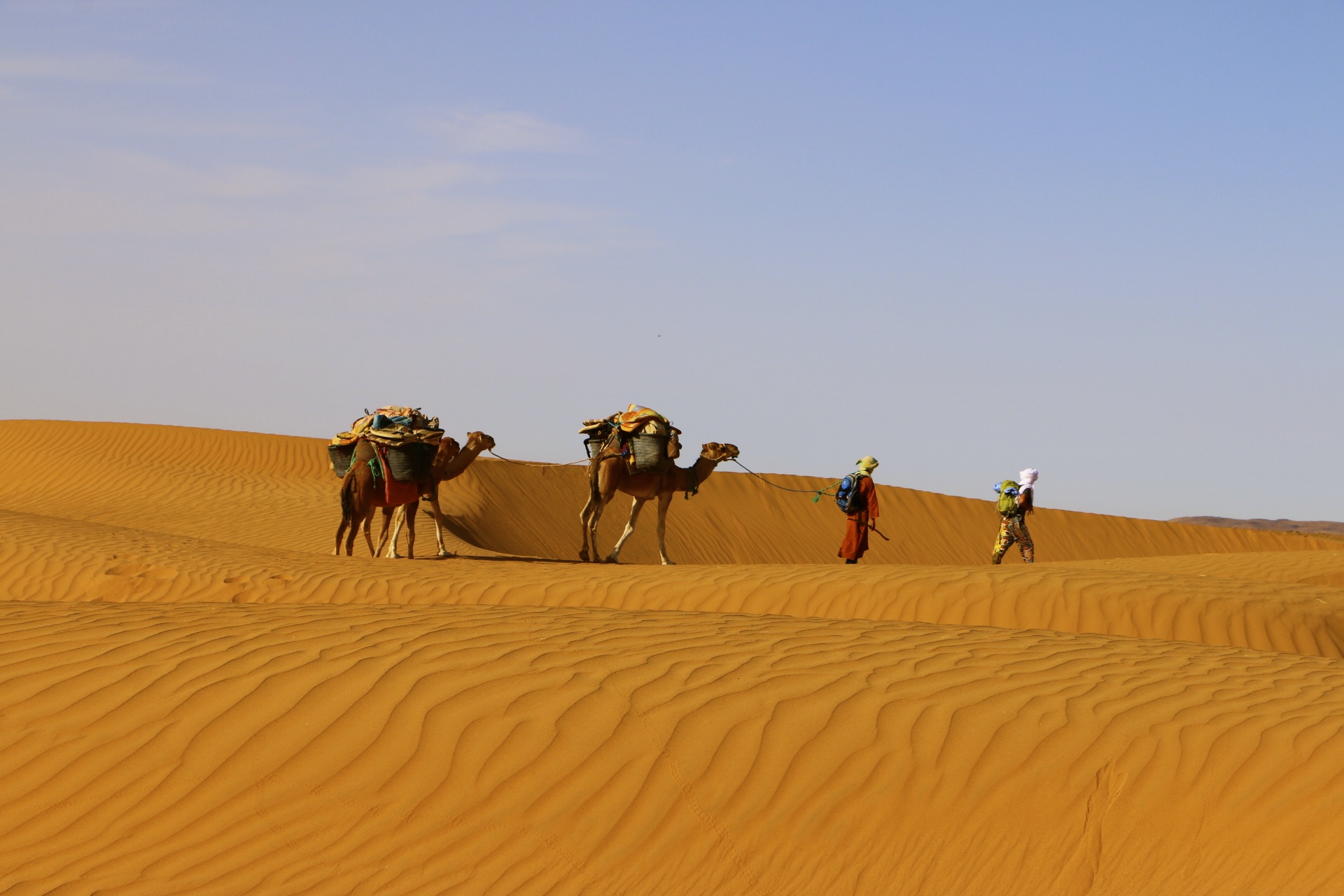 Méharée dans le Sahara, une expérience unique