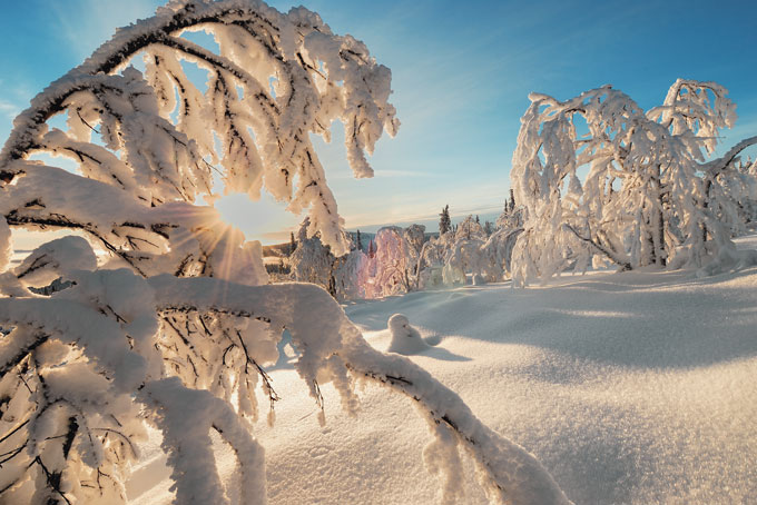 10 Tipps für Ihre Lappland-Reise