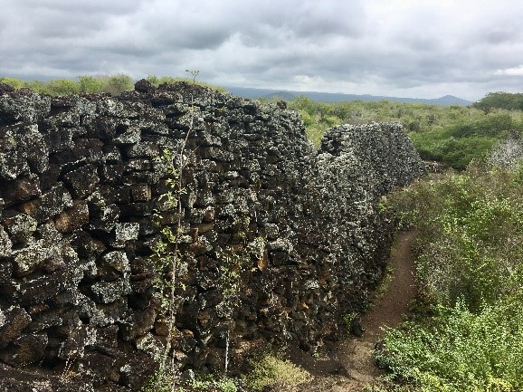 Muro de las Lágrimas (Mauer der Tränen)