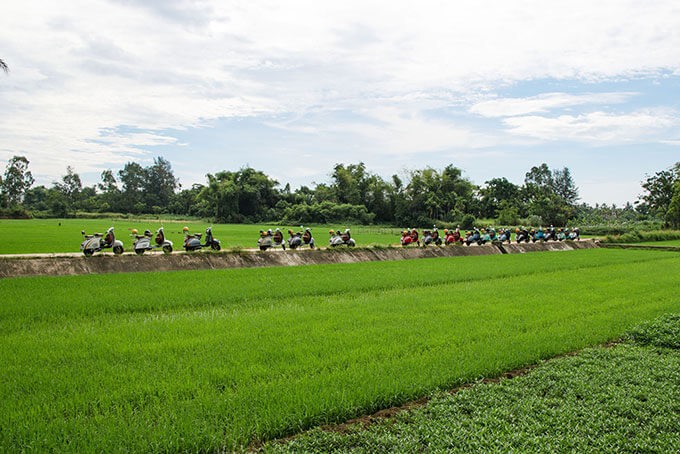 Reisfelder bei Hoi An