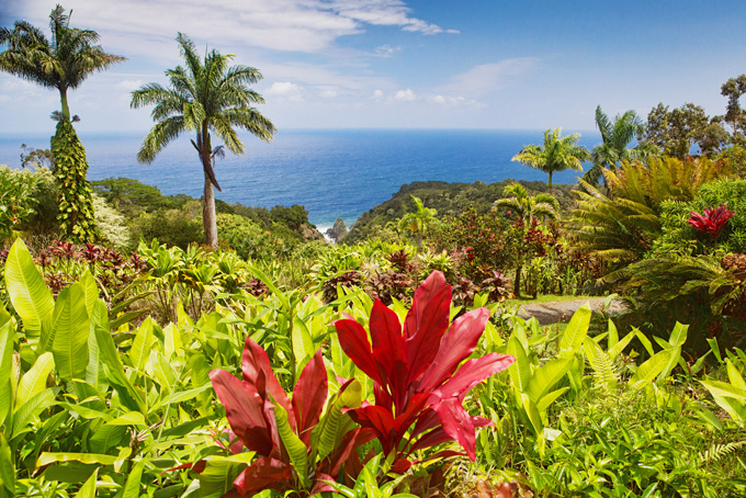 Hawaï, mes conseils pour Maui et Kauai