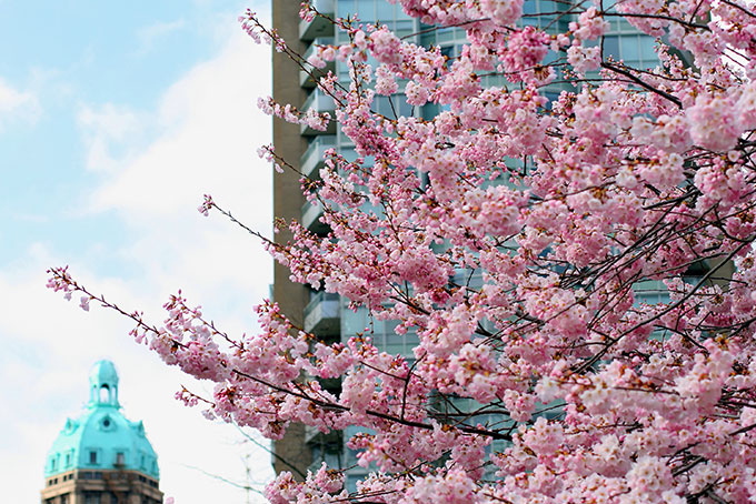 Le printemps à Vancouver