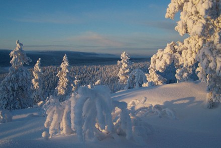 Wintermärchen in Finnisch Lappland