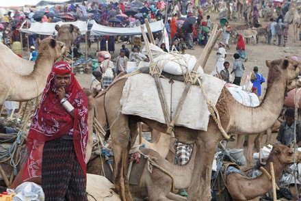 Bati Warenmarkt (man merke, Kamele mit Gestellen auf dem Rücken stehen nicht zum Verkauf, da sie die Lasten her- und wieder wegtransportieren!)