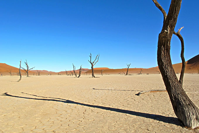 Flitterwochen in Namibia