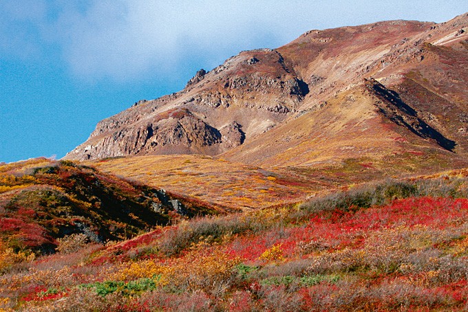 Der Denali Nationalpark in Alaska