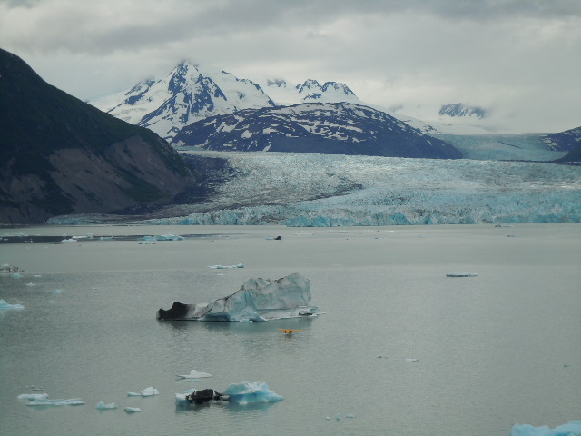 Alaska – Natur pur auf Land und Meer