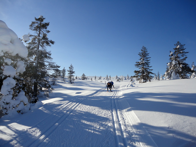 Langlaufen in Lappland: Meine Langlaufreise nach Äkäslompolo im März 2013