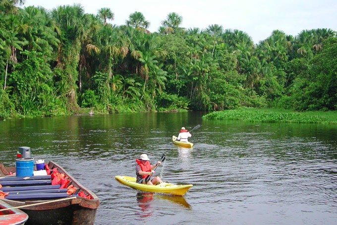 Kajaken mit den Pirañas im Orinoco Delta