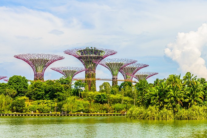 Parc tropicale «Gardens by the Bay»