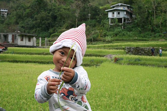 Enfant dans les rizières du village de Hapao