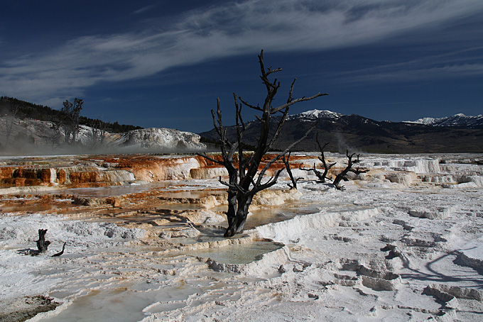 Yellowstone Nationalpark