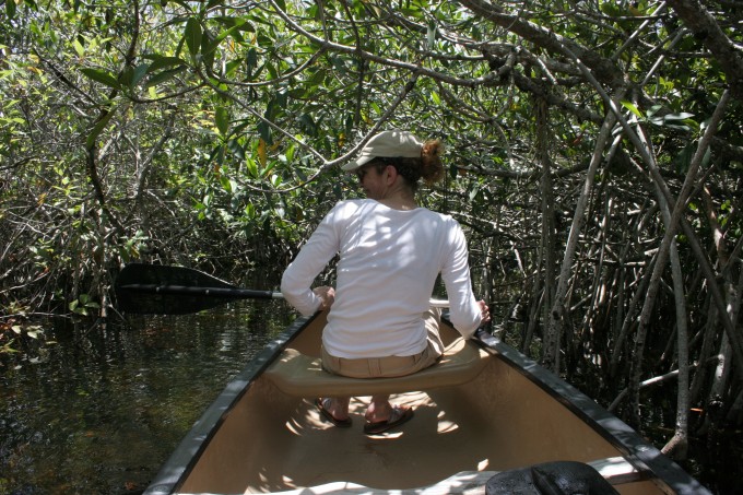 Kanutour in den Mangroven