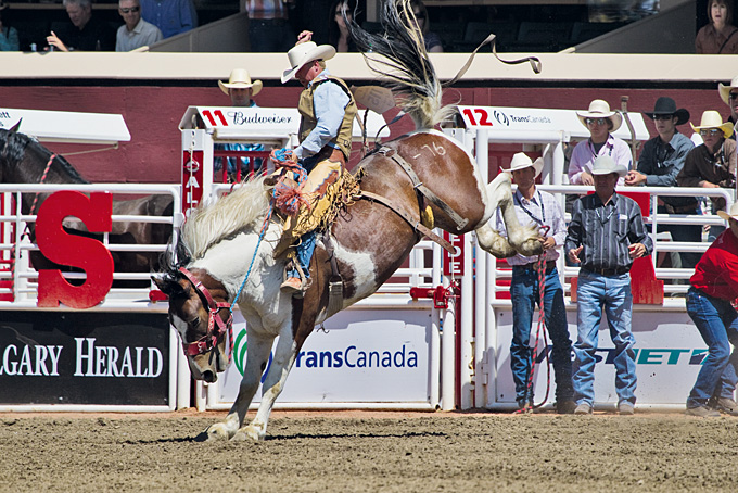 Spannendes Rodeo in Calgary
