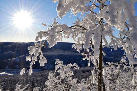 Winter Wonderland Yukon