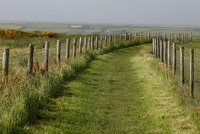 Der Pembrokeshire Coastal Path im Nationalpark / Copyright: Annerley Johnson @ flickr