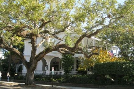 Maison typique à Charlestone