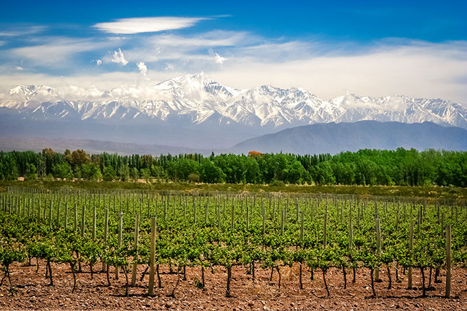 L’Aconcagua, le plus haut sommet sud-américain domine le magnifique paysage de Mendoza.