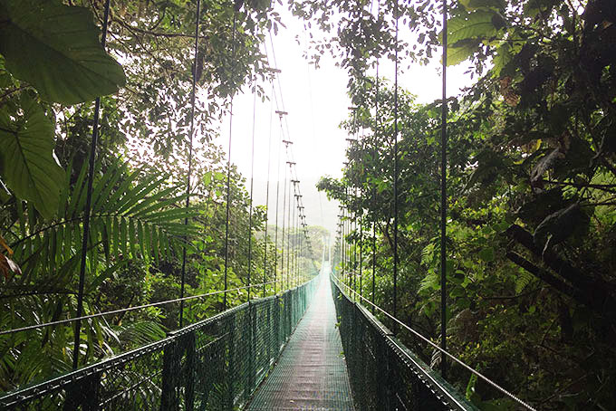 Hängebrücke im Monteverde Reservat