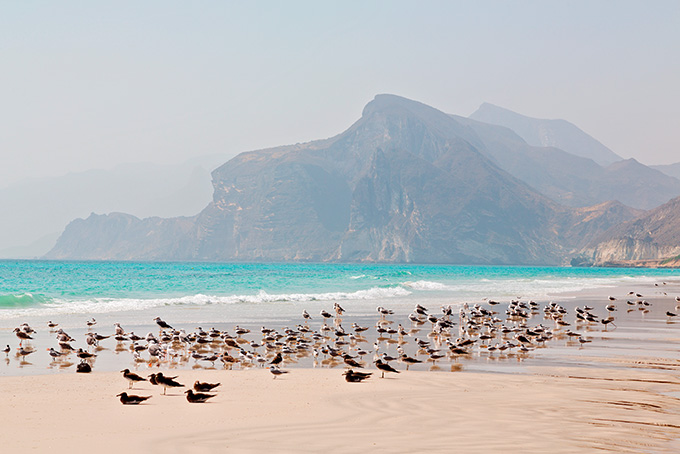 Weisse Sandstrände in Salalah, Oman