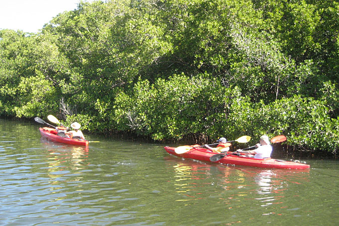 Unsere Kanutour in den Everglades